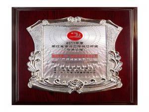 2011年度省建設(shè)工程錢(qián)江杯獎(jiǎng)——籌建的愛(ài)山廣場(chǎng)（步行街區(qū)）1#、3#標(biāo)段