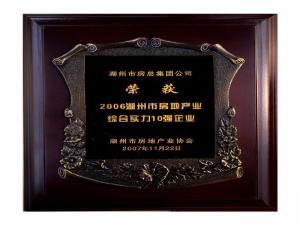 2006市房地產(chǎn)業(yè)綜合實力10強(qiáng)企業(yè)