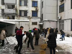 抗雪特輯 | 致大雪中可愛的房總人！
